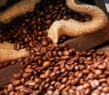 Agro.Br viabiliza exportação de café de pequeno produtor
