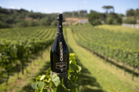 Chandon Excellence Magnum