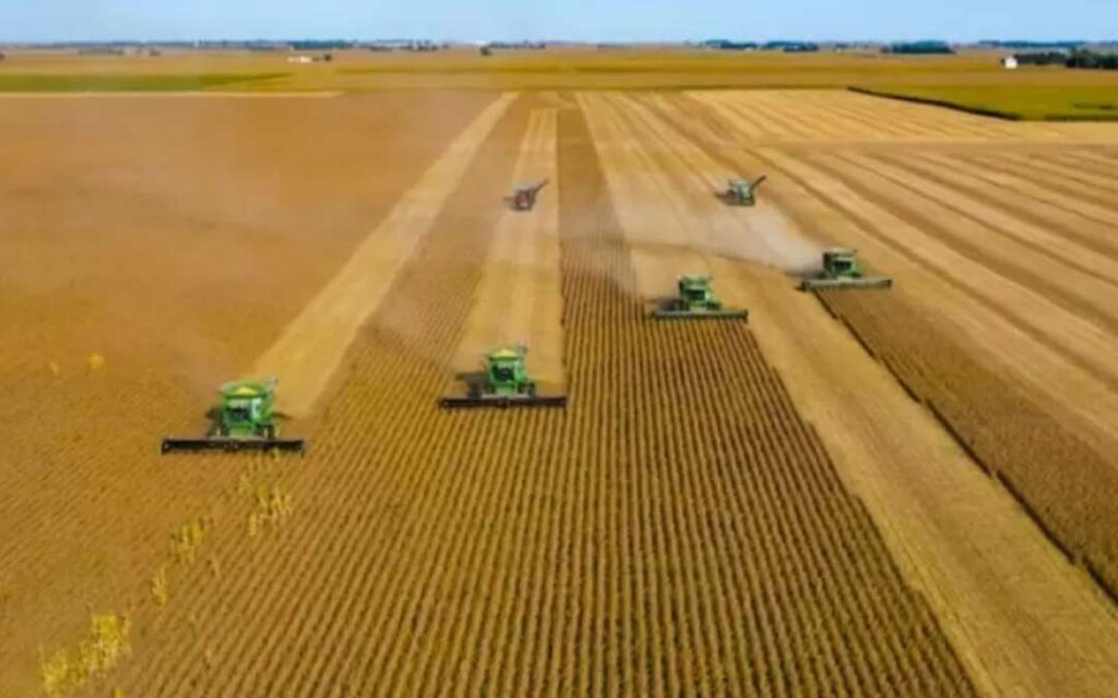 Colheitadeiras no campo