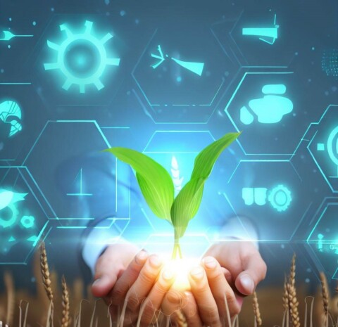 inovação investimento agtech