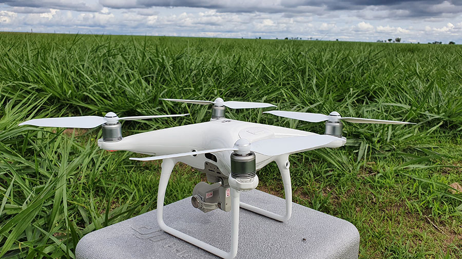 Drones garantem 66% de acurácia no monitoramento de cuidados com pastagens