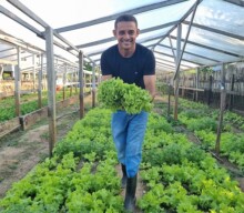 Verduras na Amazônia: pequeno produtor vai do desespero ao sucesso