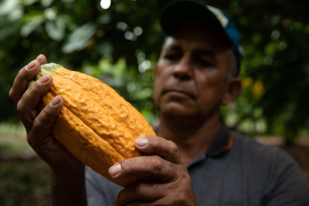 Apoio aos pequenos agricultores na Amazônia: uma história de sustentabilidade