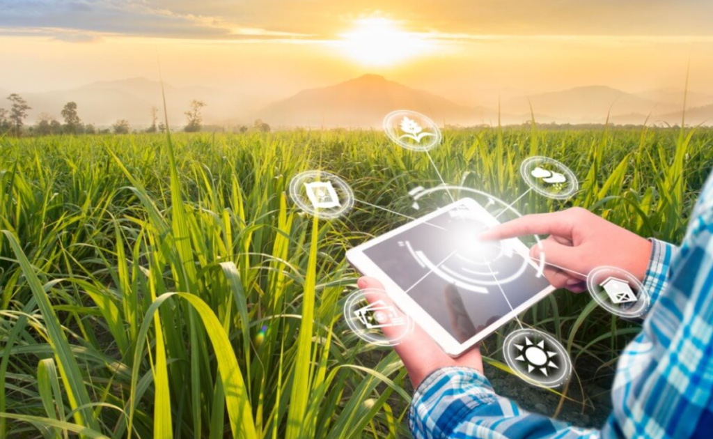 Tecnologias no agronegócio: a revolução na produção de alimentos