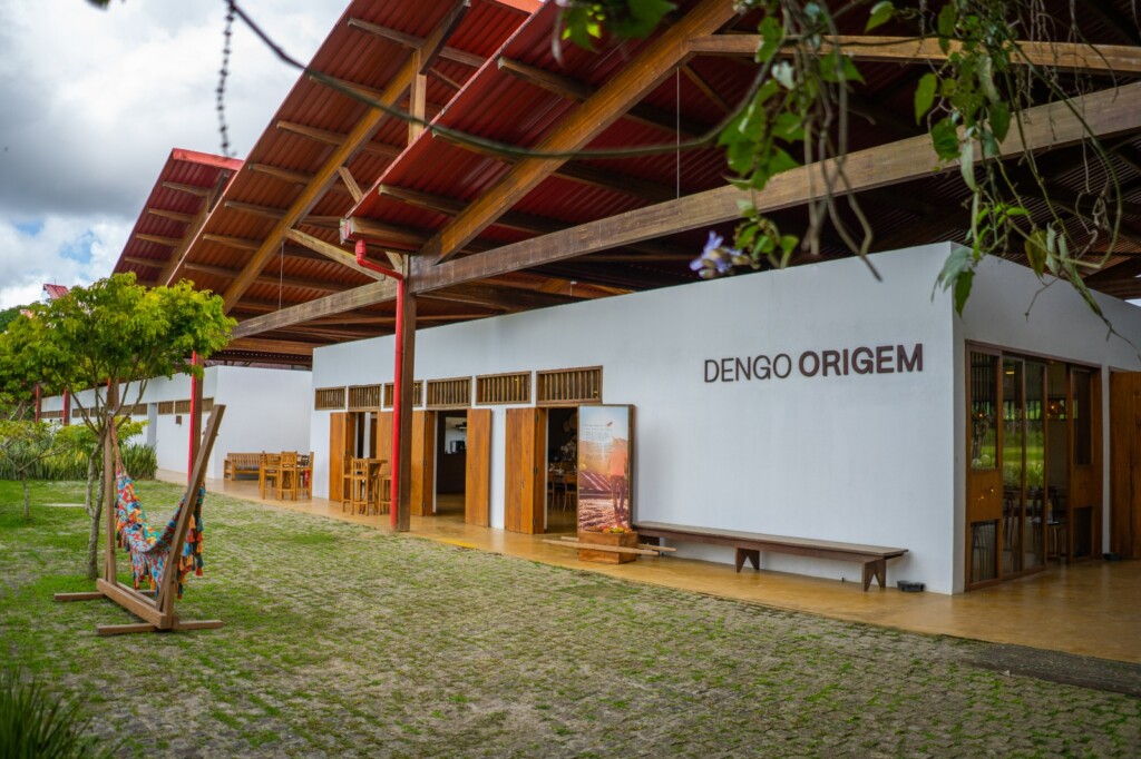 Dengo Chocolates sorteia viagem com imersão ao mundo do cacau