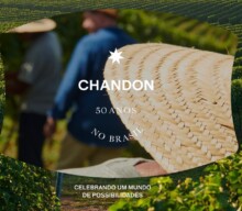 Chandon 50 anos: princípios empresariais vão muito além da produção e venda de bons espumantes