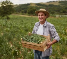 Como criar um ecossistema sustentável para a produção de alimentos