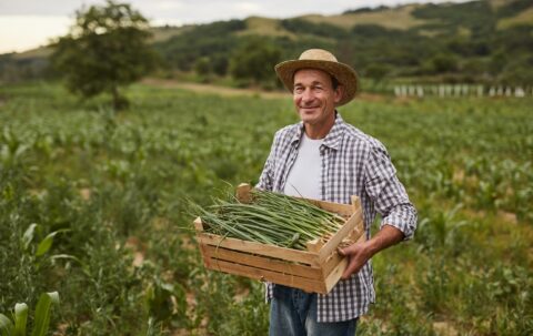 Produtor rural carregando alimentos do campo