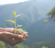 ODS da ONU estabelecem práticas para desenvolvimento sustentável