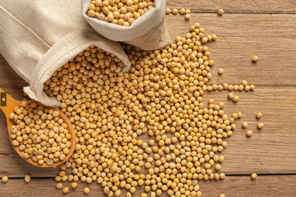 ADM reforça atuação na inovação e oferta de alimentos plant-based sustentáveis