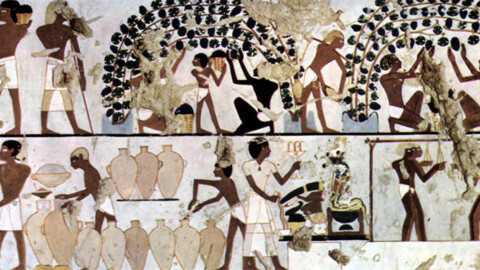 Kemet já produzia vinhos há mais de 5 mil anos