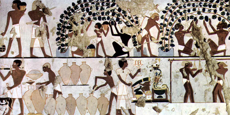 Kemet já produzia vinhos há mais de 5 mil anos