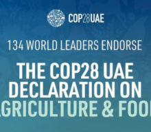 COP28: 134 países se comprometeram a integrar sistemas alimentares em seus planos climáticos até 2025