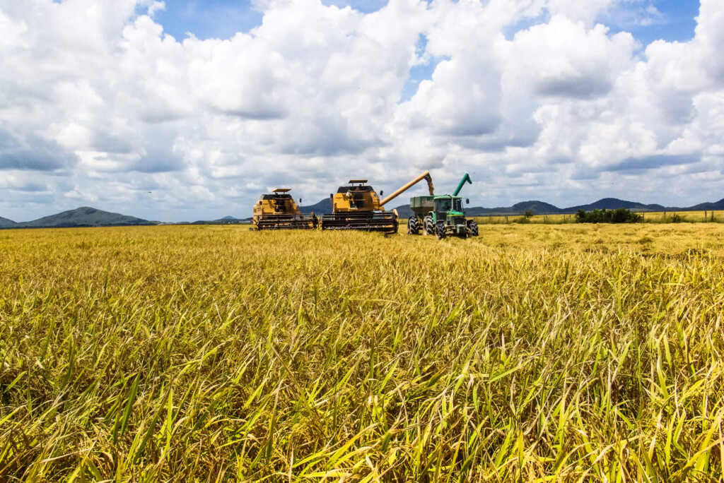 Rabobank divulga relatório Perspectivas para o Agronegócio 2024