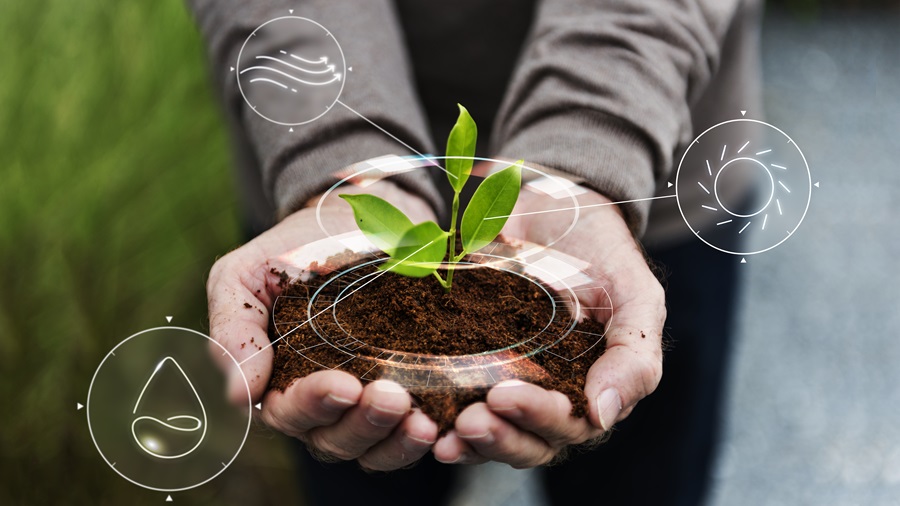 homem segura terra com plantas