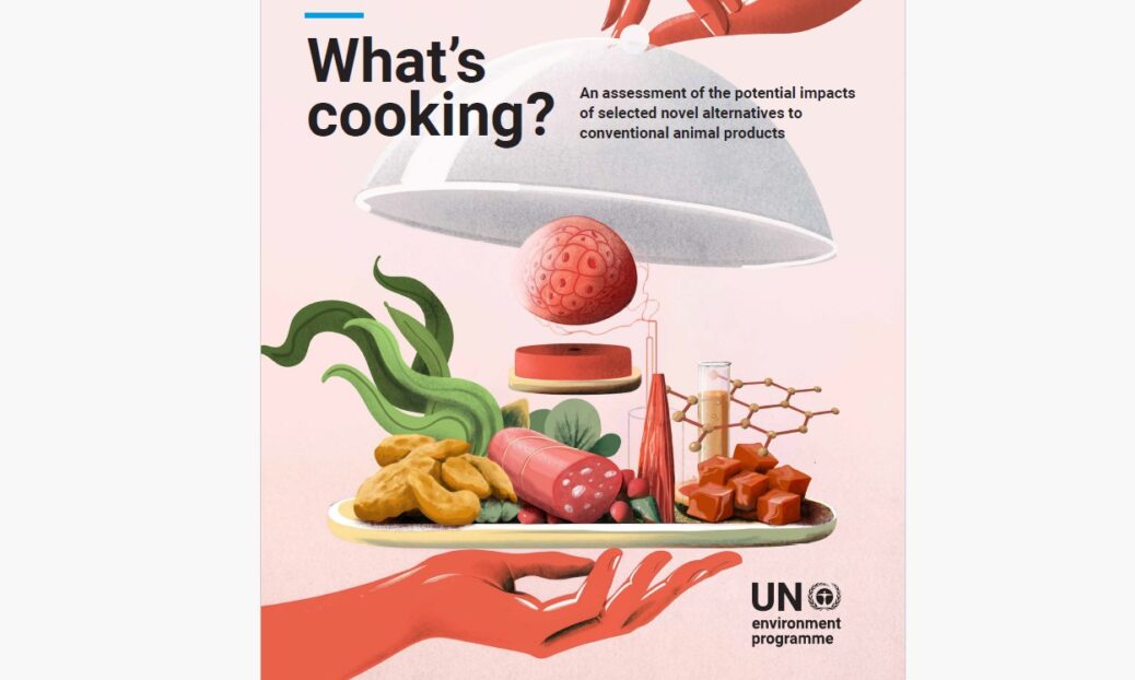 capa what's cooking? publicação na United Nations sobre alimentação