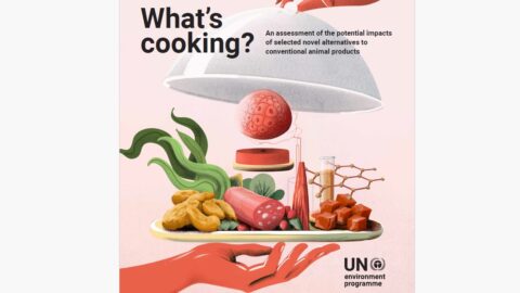 capa what's cooking? publicação na United Nations sobre alimentação