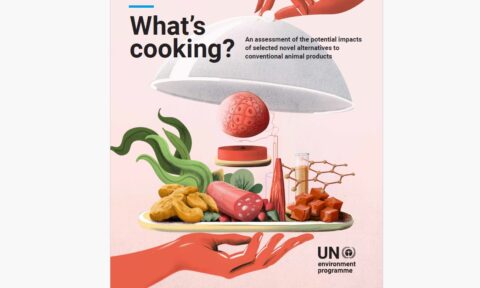 capa what's cooking? publicação na United Nations sobre alimentação