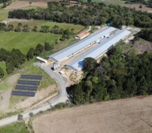 Seara incentiva adoção de energia solar nas granjas de produtores integrados