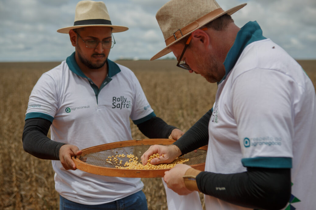 homens avaliam grãos de soja no campo