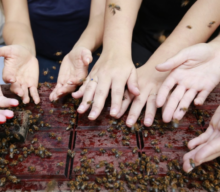 Empoderamento feminino: empresas transformam a indústria com produtos de alimentação e beleza