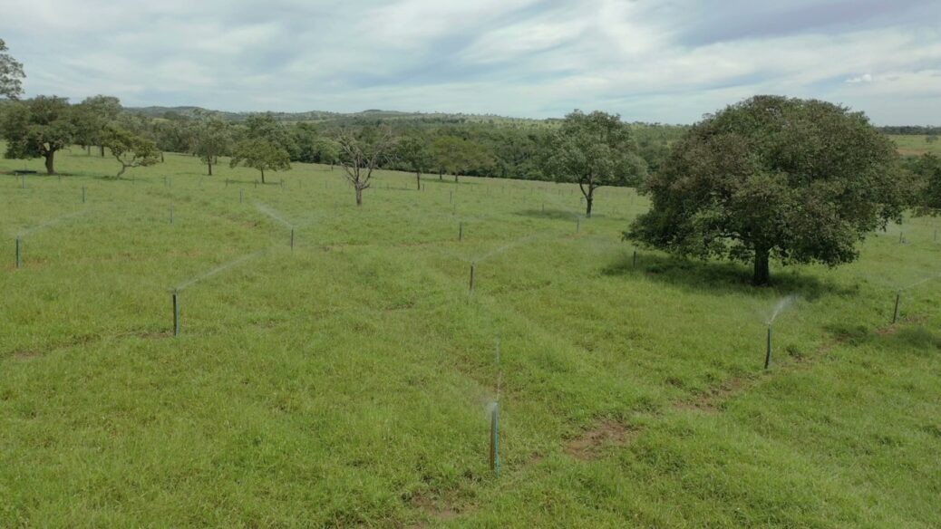 irrigação no campo