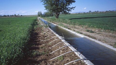 irrigação campo canais
