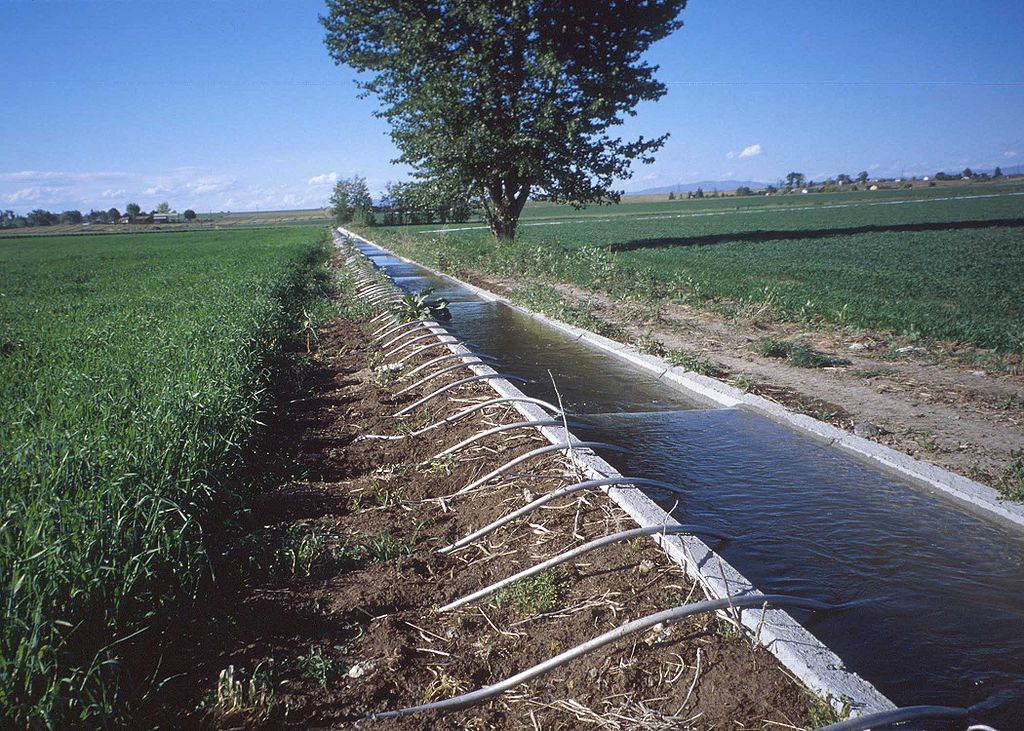 irrigação campo canais