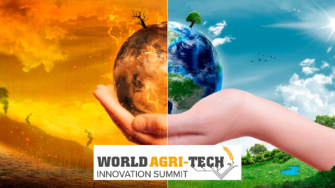 world agri-tech innovation summit - mão segurando planeta Terra