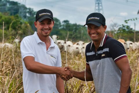 dois homens do campo apertam as mãos com bois ao fundo