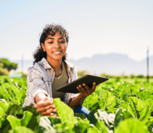 Futuro da alimentação: como a tecnologia está moldando os hábitos alimentares e as preferências dos consumidores