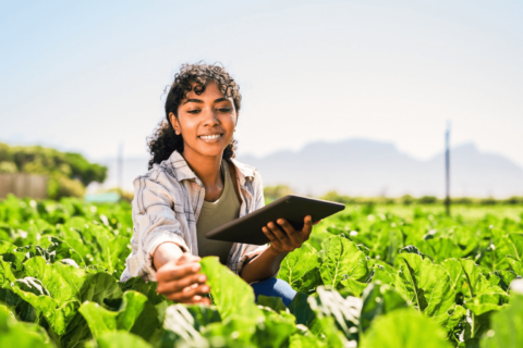 Futuro da alimentação