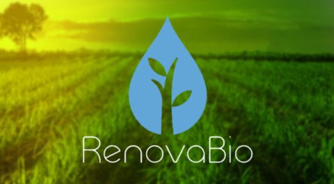 Renovabio