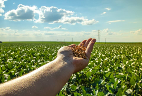 Agricultura regenerativa