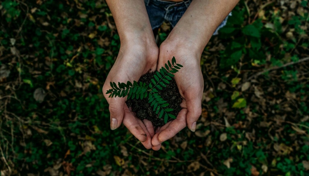 sustentabilidade no agronegócio