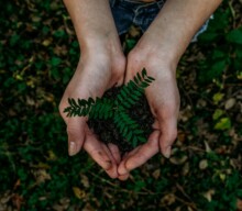 Sustentabilidade no agronegócio: práticas e iniciativas que estão fazendo a diferença