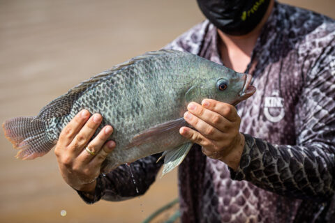 homem segurando uma tilapia