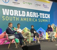 Innovation Spotlight: estratégias de colaboração e inovação no agronegócio