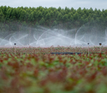 Tecnologias emergentes para a redução do consumo de água na agricultura