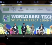 AgriFintech: Como as plataformas digitais mitigam o risco e impulsionam o crédito agrícola