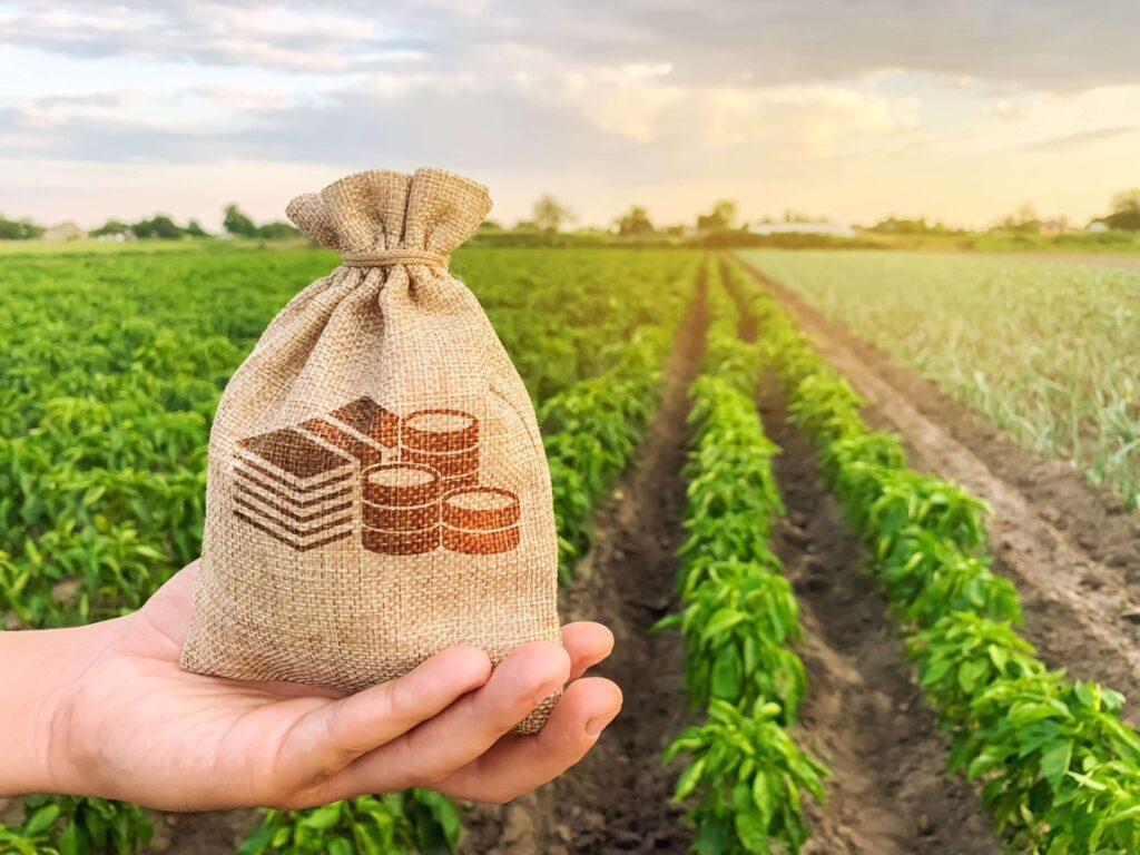 Painel de investidores discute futuro do agtech na América Latina: perspectivas e oportunidades