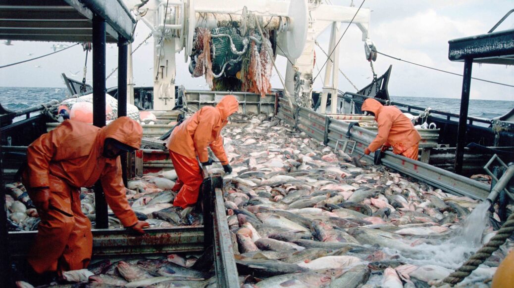 homens em barco de pesca com muitos peixes no deck