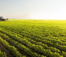 Agricultura climática inteligente para um futuro sustentável