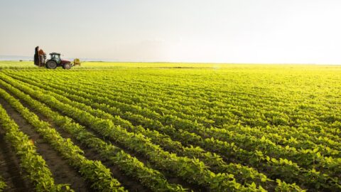 Agricultura climática inteligente