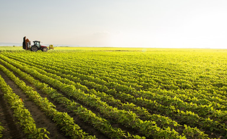 Agricultura climática inteligente