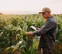 Robótica na agricultura: o futuro das fazendas inteligentes