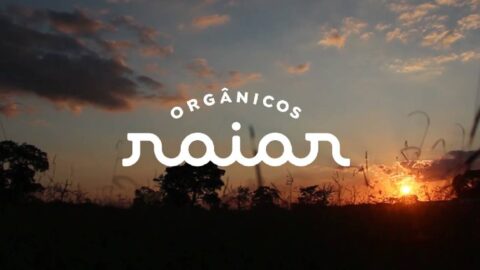 Raiar Orgânicos é novo membro da Coalizão Brasil Clima, Florestas e Agricultura