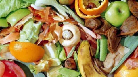 Resíduos alimentares: lixo se transforma em biogás e fertilizantes