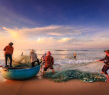 Principais tendências e recomendações para a segurança alimentar na pesca de pequena escala