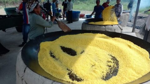 tacho de produção de farinha de mandioca na amazonia